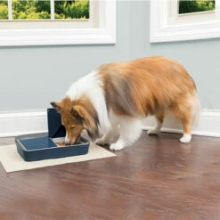 PetSafe Digital Fôrautomat -DYREKASSEN Salg 1584351322