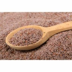 Front -DYREKASSEN Salg 1635853724