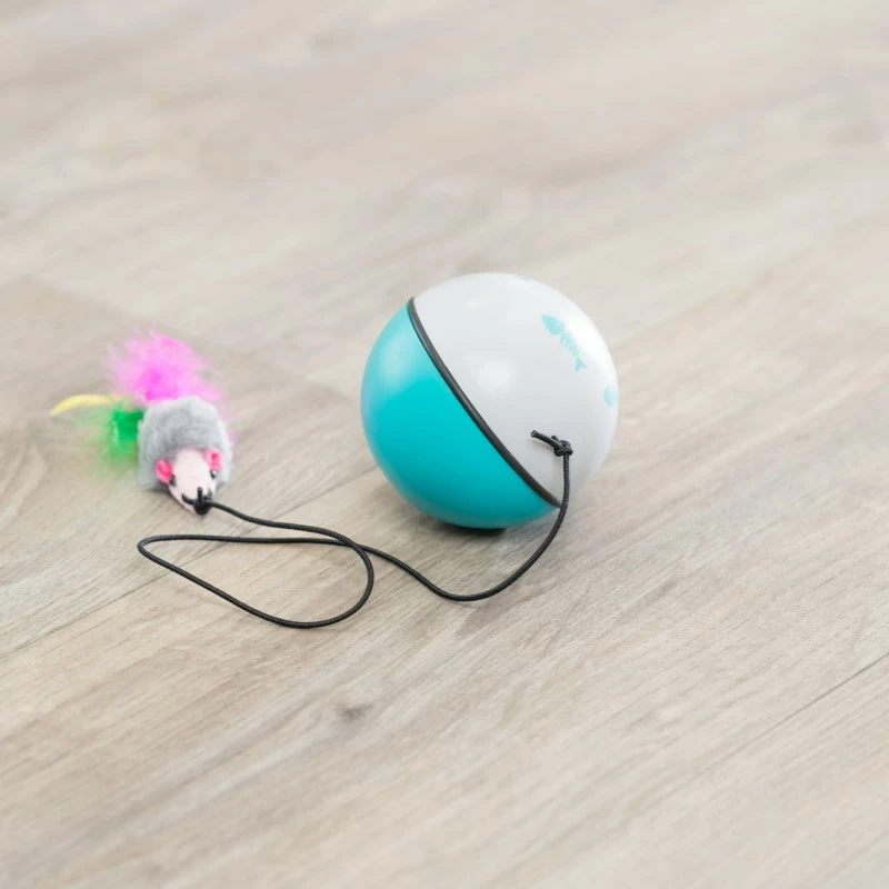 Front -DYREKASSEN Salg 1638975365