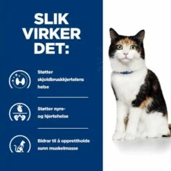 Hill's Prescription Diet Y/d Våtfôr Til Katt Med Kylling 24x156 G -DYREKASSEN Salg 1677509354